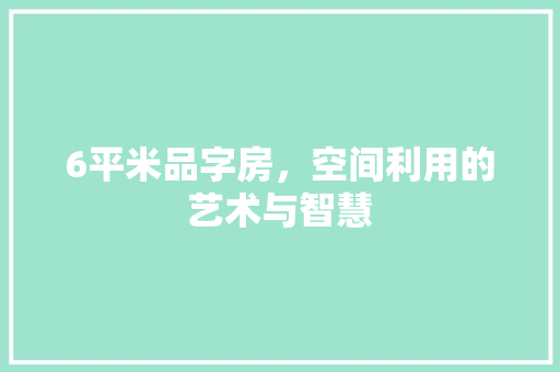 6平米品字房，空间利用的艺术与智慧