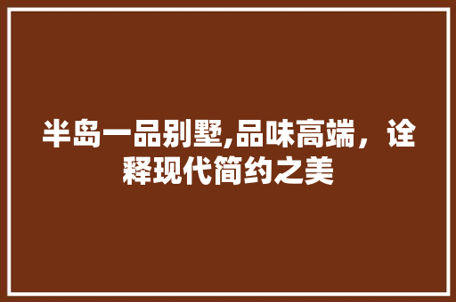 半岛一品别墅,品味高端，诠释现代简约之美 家居装修