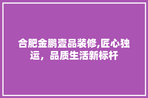 合肥金鹏壹品装修,匠心独运，品质生活新标杆 家居装修