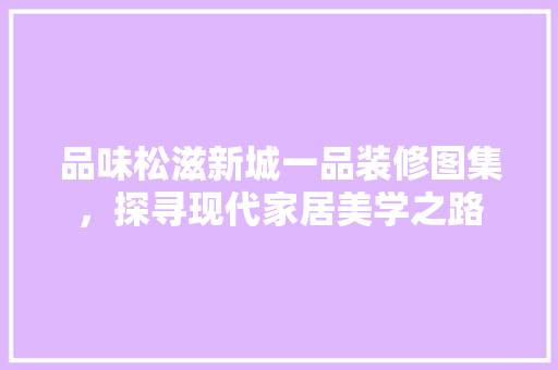 品味松滋新城一品装修图集，探寻现代家居美学之路