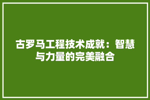 古罗马工程技术成就：智慧与力量的完美融合