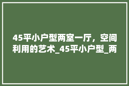 45平小户型两室一厅，空间利用的艺术_45平小户型_两室一厅 地板材料
