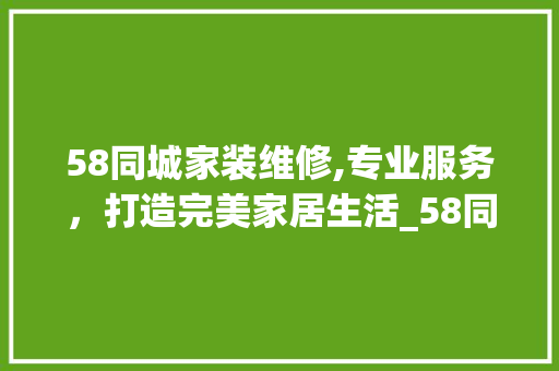 58同城家装维修,专业服务，打造完美家居生活_58同城家装维修 现代风格装饰
