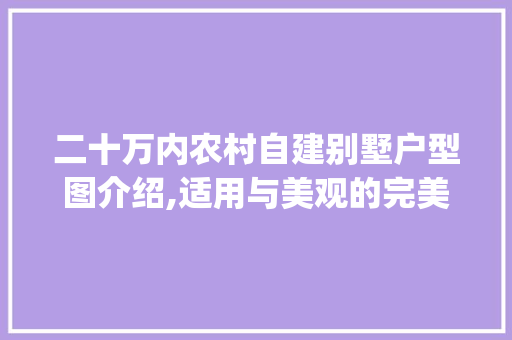 二十万内农村自建别墅户型图介绍,适用与美观的完美融合_农村自建别墅二十万以内的户型图 中式风格装饰