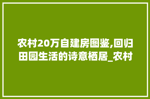 农村20万自建房图鉴,回归田园生活的诗意栖居_农村20万自建房图 软装设计