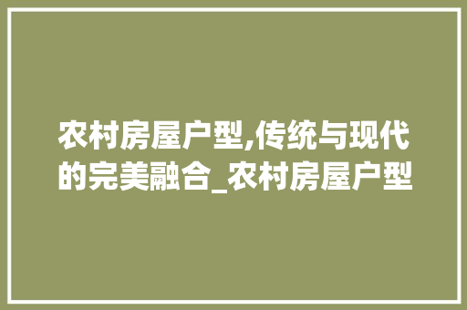 农村房屋户型,传统与现代的完美融合_农村房屋户型图片大全 现代风格装饰