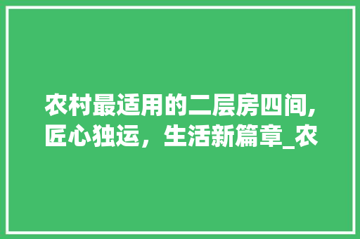农村最适用的二层房四间,匠心独运，生活新篇章_农村最适用的二层房四间 家居装修