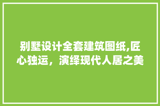 别墅设计全套建筑图纸,匠心独运，演绎现代人居之美_别墅设计全套建筑图纸 现代风格装饰