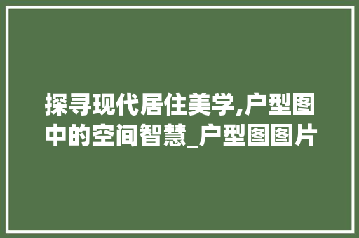 探寻现代居住美学,户型图中的空间智慧_户型图图片 地板材料