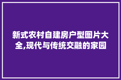 新式农村自建房户型图片大全,现代与传统交融的家园画卷_新式农村自建房户型图片大全