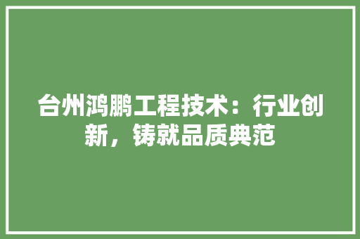 台州鸿鹏工程技术：行业创新，铸就品质典范
