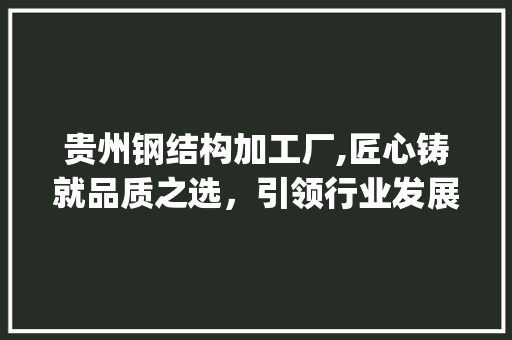 贵州钢结构加工厂,匠心铸就品质之选，引领行业发展新风尚_贵州钢结构加工厂生产厂家