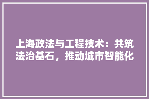 上海政法与工程技术：共筑法治基石，推动城市智能化发展 软装设计