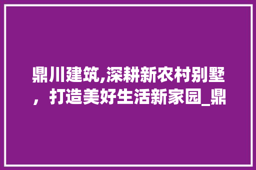 鼎川建筑,深耕新农村别墅，打造美好生活新家园_鼎川建筑专注新农村别墅 室内设计