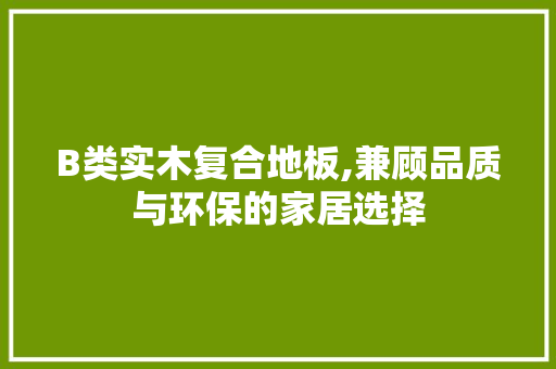 B类实木复合地板,兼顾品质与环保的家居选择