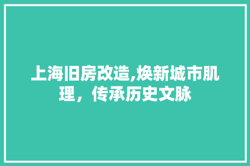 上海旧房改造,焕新城市肌理，传承历史文脉 室内设计