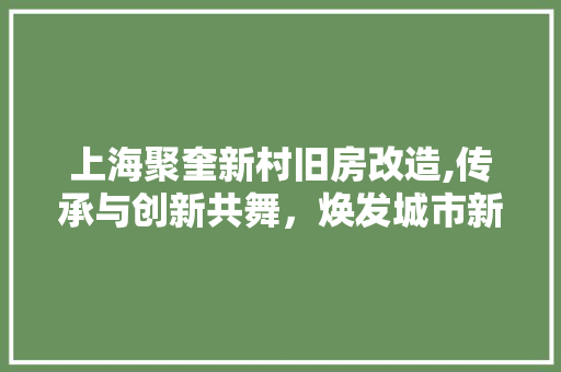 上海聚奎新村旧房改造,传承与创新共舞，焕发城市新活力 现代风格装饰