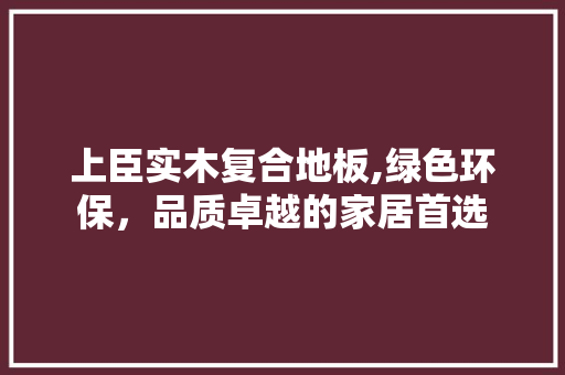 上臣实木复合地板,绿色环保，品质卓越的家居首选 客厅装修