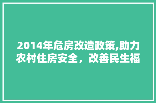 2014年危房改造政策,助力农村住房安全，改善民生福祉 软装设计