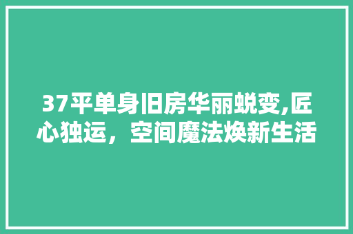 37平单身旧房华丽蜕变,匠心独运，空间魔法焕新生活 木雕艺术