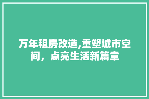 万年租房改造,重塑城市空间，点亮生活新篇章 软装设计