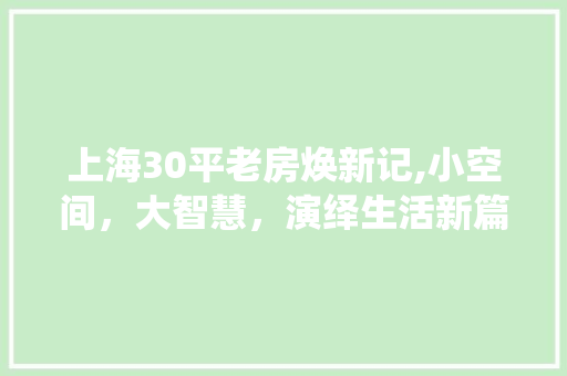 上海30平老房焕新记,小空间，大智慧，演绎生活新篇章 客厅装修