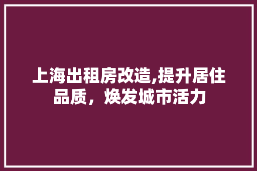 上海出租房改造,提升居住品质，焕发城市活力 木雕艺术