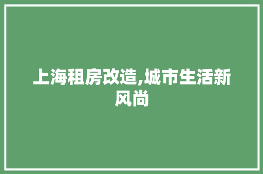 上海租房改造,城市生活新风尚 家居装修