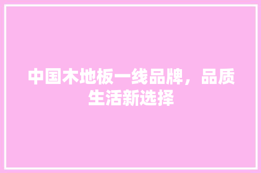 中国木地板一线品牌，品质生活新选择 现代风格装饰