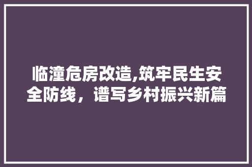 临潼危房改造,筑牢民生安全防线，谱写乡村振兴新篇章