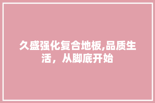 久盛强化复合地板,品质生活，从脚底开始 软装设计