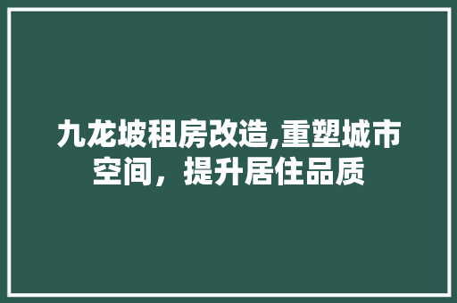 九龙坡租房改造,重塑城市空间，提升居住品质 客厅装修