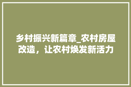 乡村振兴新篇章_农村房屋改造，让农村焕发新活力 现代风格装饰
