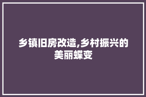 乡镇旧房改造,乡村振兴的美丽蝶变 客厅装修