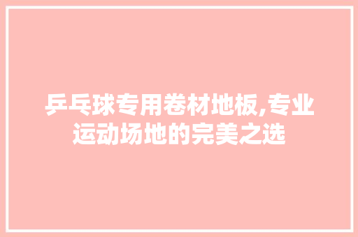 乒乓球专用卷材地板,专业运动场地的完美之选