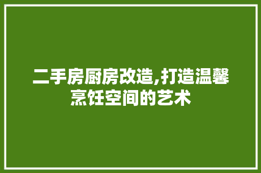 二手房厨房改造,打造温馨烹饪空间的艺术