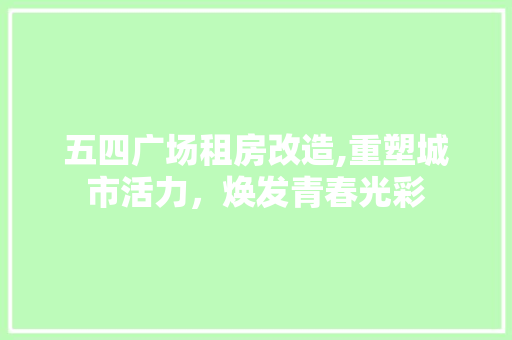 五四广场租房改造,重塑城市活力，焕发青春光彩