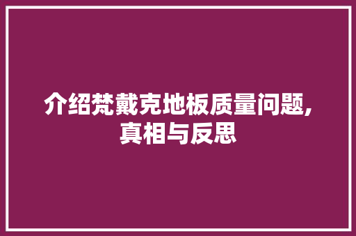 介绍梵戴克地板质量问题,真相与反思 木雕艺术