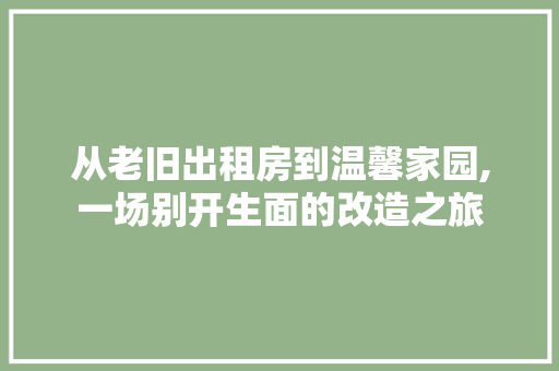从老旧出租房到温馨家园,一场别开生面的改造之旅