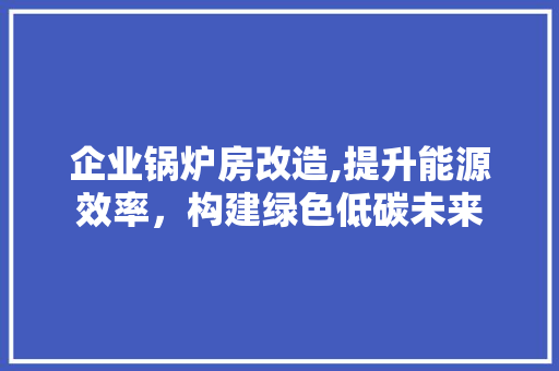 企业锅炉房改造,提升能源效率，构建绿色低碳未来 木雕艺术