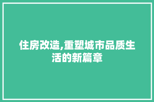 住房改造,重塑城市品质生活的新篇章 软装设计