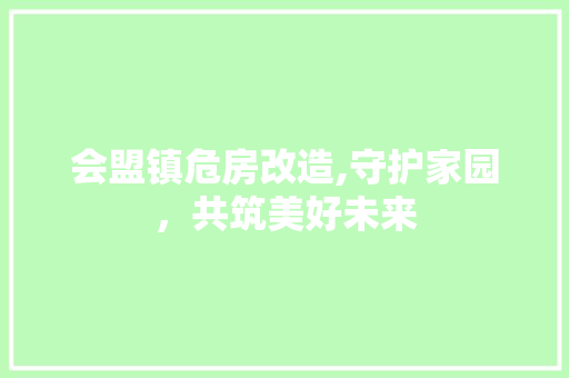 会盟镇危房改造,守护家园，共筑美好未来 木雕艺术