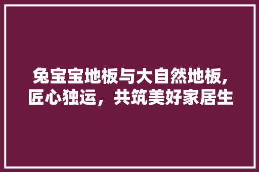 兔宝宝地板与大自然地板,匠心独运，共筑美好家居生活 现代风格装饰