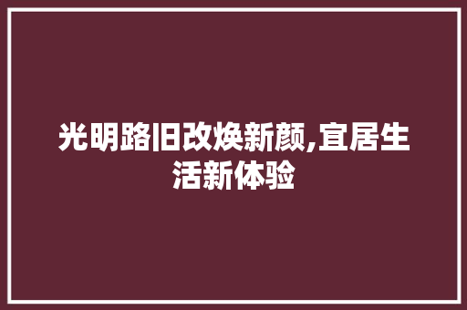 光明路旧改焕新颜,宜居生活新体验