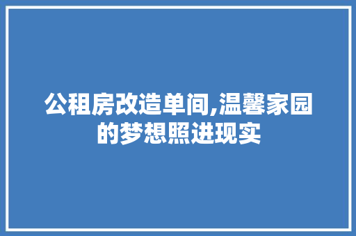 公租房改造单间,温馨家园的梦想照进现实 地板材料