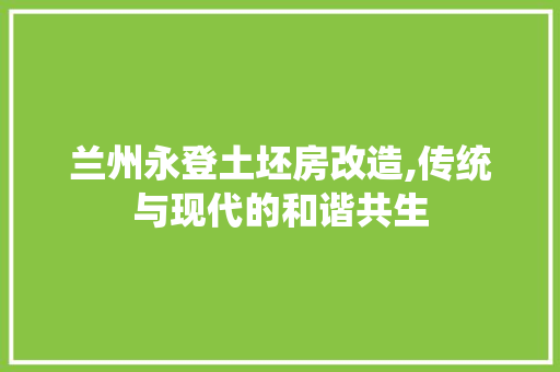 兰州永登土坯房改造,传统与现代的和谐共生 室内设计