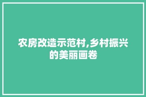 农房改造示范村,乡村振兴的美丽画卷 现代风格装饰