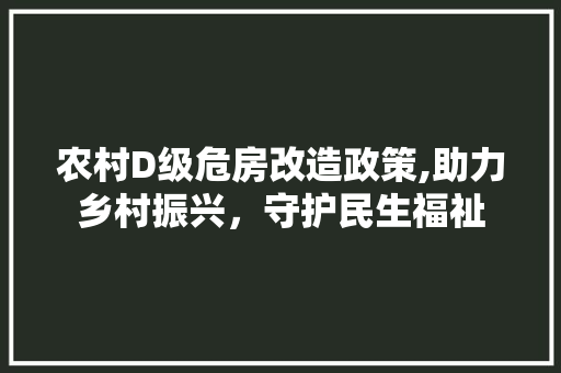农村D级危房改造政策,助力乡村振兴，守护民生福祉 地板材料