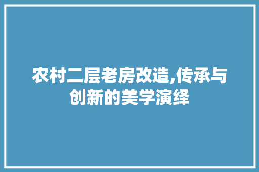 农村二层老房改造,传承与创新的美学演绎 现代风格装饰