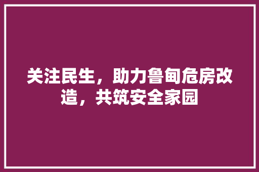 关注民生，助力鲁甸危房改造，共筑安全家园 室内设计